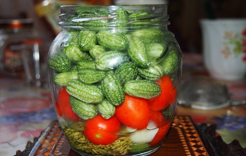 🌿 Mexican Sour Gherkin Cucamelon / Mouse Melon Cucumber Seeds