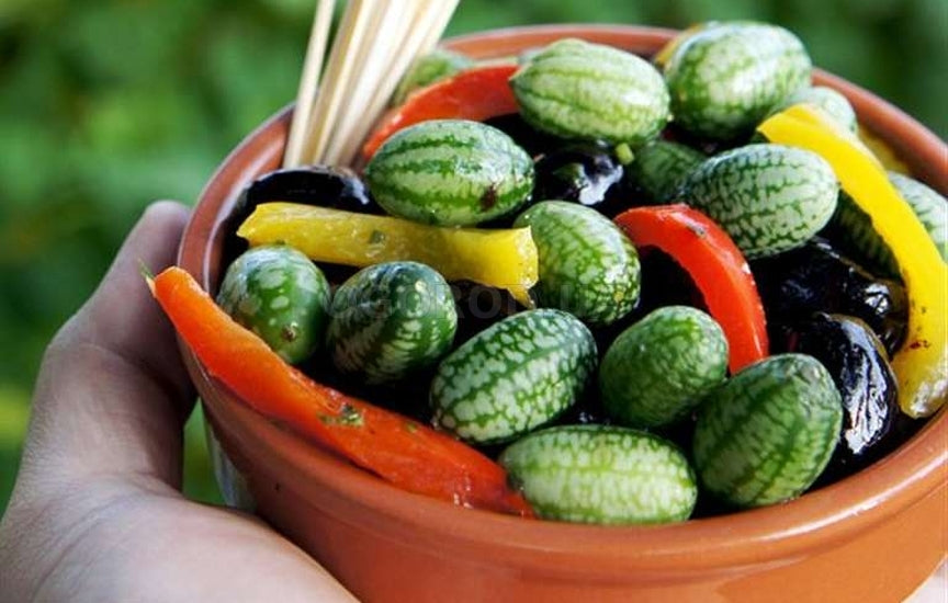 🌿 Mexican Sour Gherkin Cucamelon / Mouse Melon Cucumber Seeds