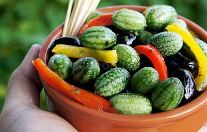 🌿 Mexican Sour Gherkin Cucamelon / Mouse Melon Cucumber Seeds