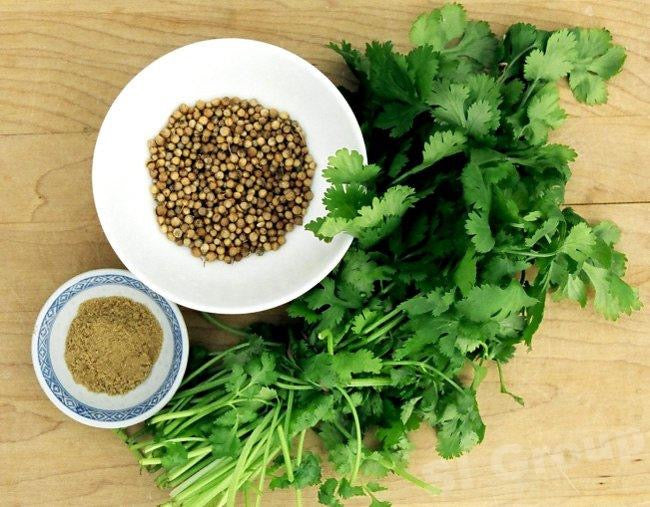 Cilantro ‘Leisure’ Slow-Bolt Seeds – Heirloom Non-GMO Coriander