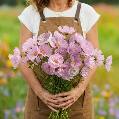 Cupcakes Blush Cosmos 25+Seeds – Blush Pink Cup-Shaped Flowers – Romantic Cut Flower Seeds