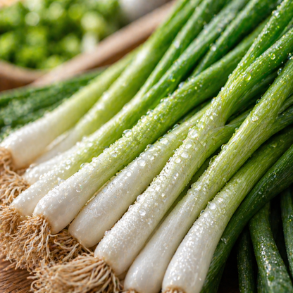 Tokyo Long Bunching Onion Seeds – Heirloom Green Onion Seeds – Hardy Japanese Onion – Cut and Come Again