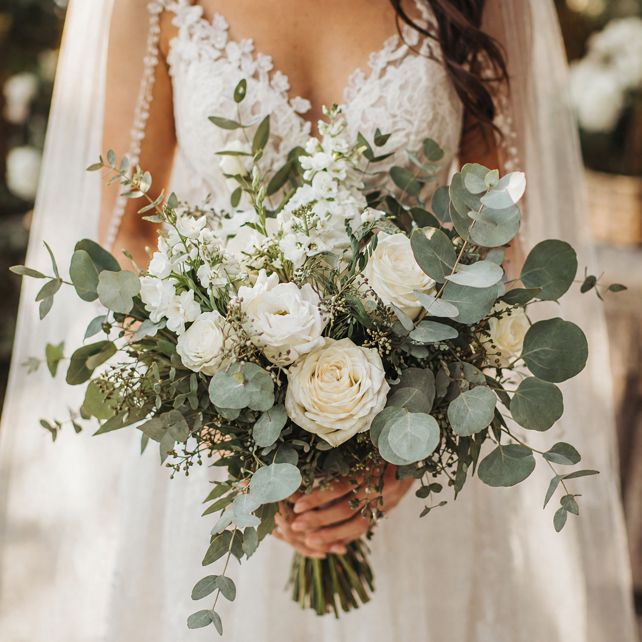 Silver Dollar Eucalyptus Seeds – Heirloom Eucalyptus – Round Leaf Eucalyptus Plant – Fragrant Foliage – Cut Flower & Bouquet