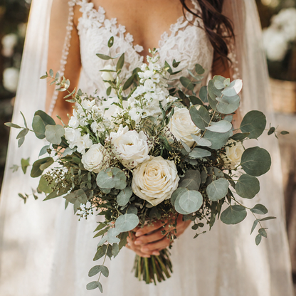 Silver Dollar Eucalyptus Seeds – Heirloom Eucalyptus – Round Leaf Eucalyptus Plant – Fragrant Foliage – Cut Flower & Bouquet