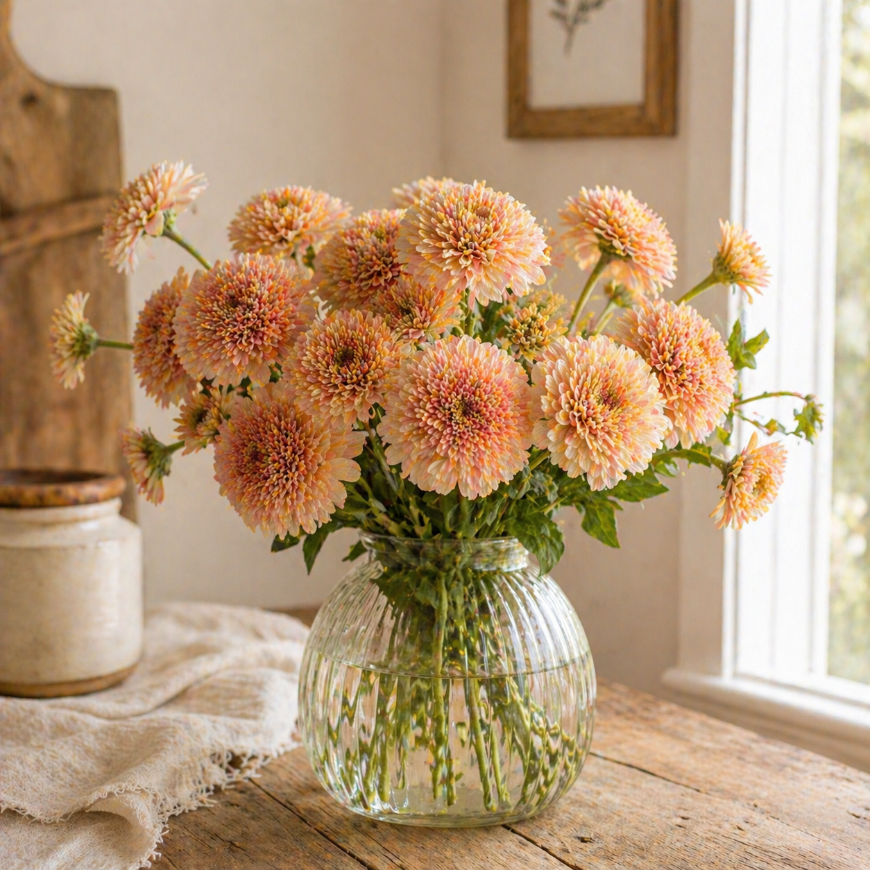 Zinderella Peach Zinnia Seeds – Double Bloom Zinnia – Peach Zinnia Flowers – Cut Flower – Unique Scabiosa Style Zinnias