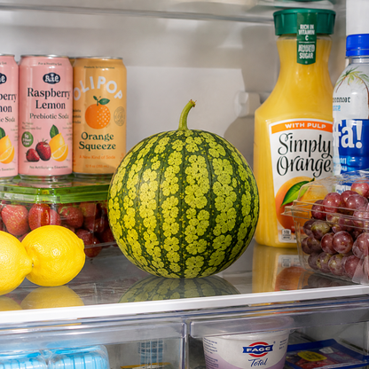 A petite yellow watermelon grown from Sprouts and Petals Yellow Petite Watermelon Seeds rests on a refrigerator shelf, surrounded by lemons, grapes, strawberries, orange juice, and other drinks.
