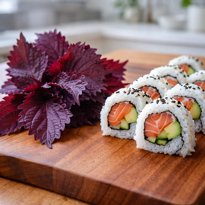 Purple Shiso Herb Seeds (Perilla) Asian Herb for Sushi & Korean Dishes