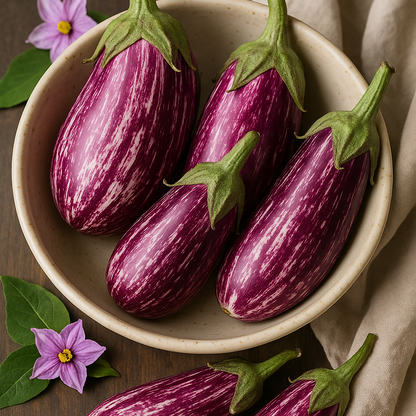 Pandora Striped Rose Eggplant Seeds – Heirloom Non-GMO Vegetable Variety