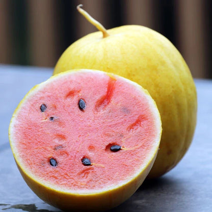 Golden Midget Organic Watermelon 10+ Seeds – Small Golden Yellow Heirloom Melon – Sweet Pink Flesh – Early Mini Watermelon Seeds