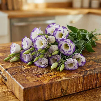 Rosita 2 Blue Picotee F1 Lisianthus 10 Seeds – White & Purple Double Flowers – Elegant Cut Flower & Wedding Bouquet Seeds