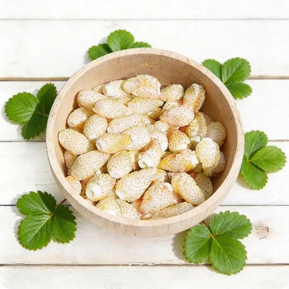 White Weiss Solemacher Strawberry Seeds | Alpine White Strawberry | Heirloom Everbearing Fruit | Sweet Pineapple Flavor 10+seeds
