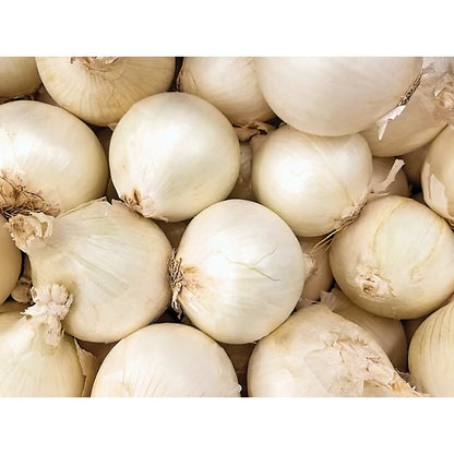 50 Snowball White Sweet Onion Sets – Mild, Crisp, and Juicy Bulbs