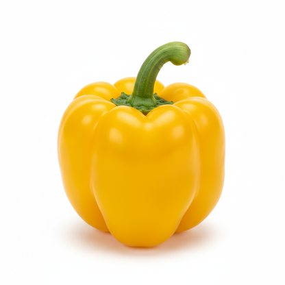 Pepper – Sweet Mini Bell Yellow