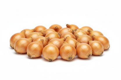 Stuttgarter Yellow Onion set