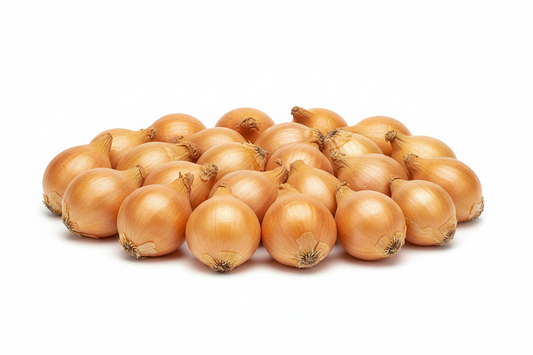 Stuttgarter Yellow Onion set